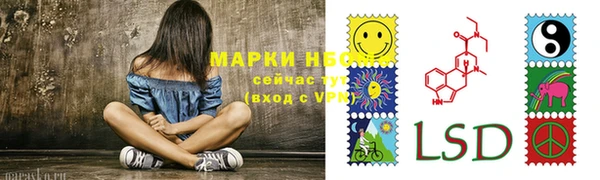 индика Богданович