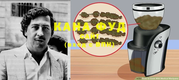 индика Богданович