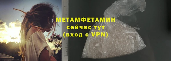 индика Богданович