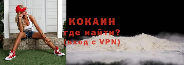 гидра Семилуки