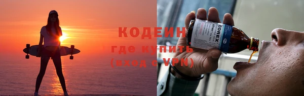 индика Богданович