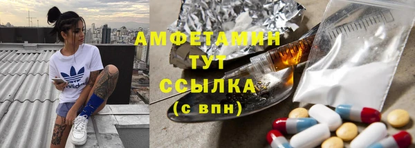 индика Богданович