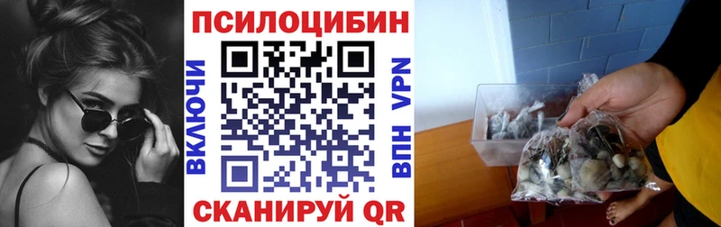 KRAKEN как войти  Козьмодемьянск  Псилоцибиновые грибы ЛСД 